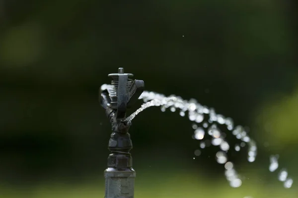 Système Irrigation Jardin Avec Fond Naturel — Photo