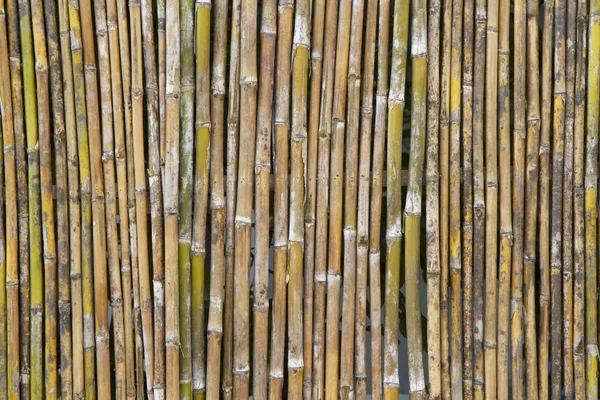 Bamboo Wall Texture Background — Stock Photo, Image