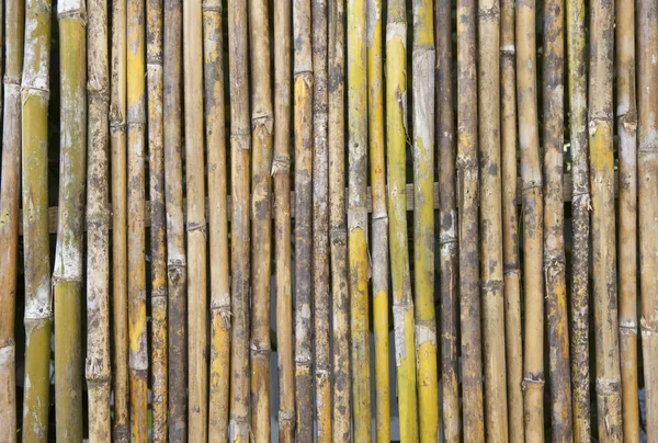 Háttérrel Vagy Bambusz Fal Textúra — Stock Fotó
