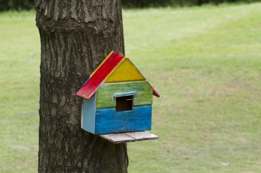 Kuş evi iç içe geçme-box asmak ağaç gövdesi üzerinde