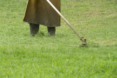 İşçi kesme çim çim biçme makinesi ile.