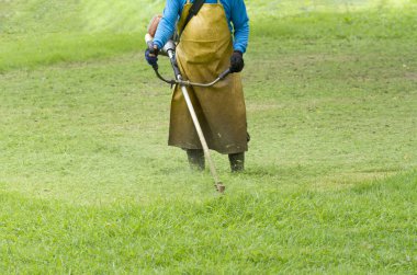 İşçi kesme çim çim biçme makinesi ile.