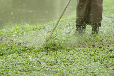 İşçi kesme çim çim biçme makinesi ile.