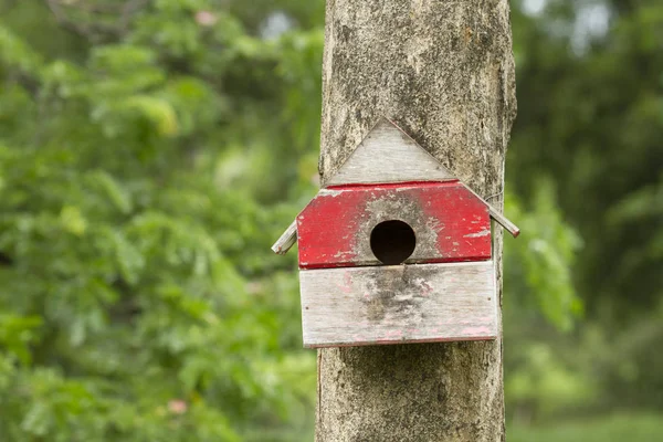 Ptačí Dům Vnoření Box Pověsit Kmen Stromu — Stock fotografie