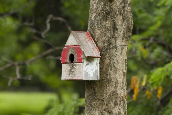 Bird house nesting-box hang on tree trunk