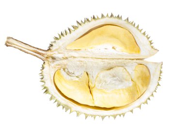 Beyaz arka plan üzerinde izole durian meyve bölümü