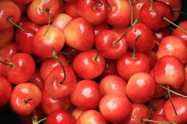 Kırmızı Kiraz meyve arka plan