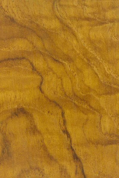 Textura Madera Superficie Fondo —  Fotos de Stock