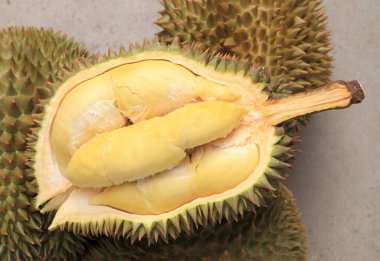 Gri arka planda olgun durian meyvesi