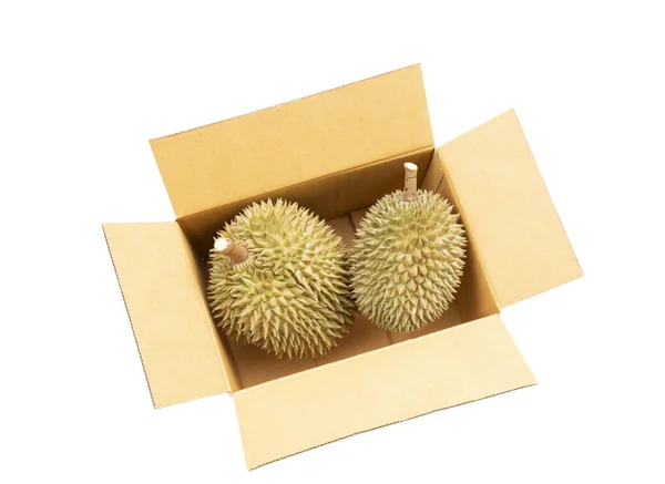 Frisches Durian Braunem Karton Für Den Export — Stockfoto