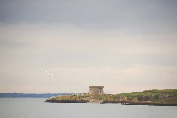 Medieval Tower Rocky Cape Blue Evening Haze Lonely Seagull Flying — Stock Photo, Image