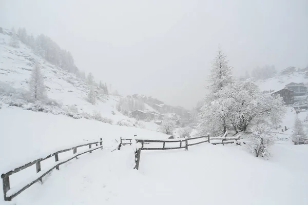 Bufera Neve Nelle Alpi Svizzere Recinzione Legno Che Circonda Campo — Foto Stock