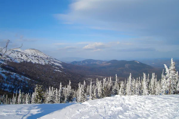 Pohled Shora Alpskou Krajinu Boreální Les Malebném Údolí Zvlněné Pohoří — Stock fotografie