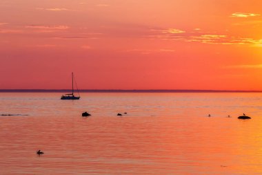 Küçük yaht için günbatımı seyahat