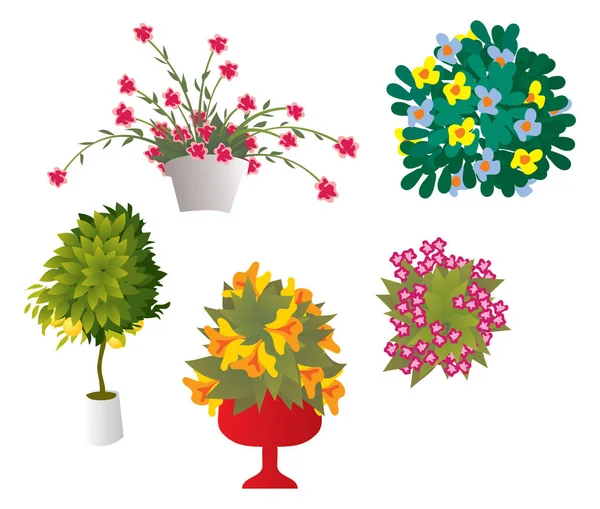 saksı çiçekleri. Gösterim amacıyla ayarla