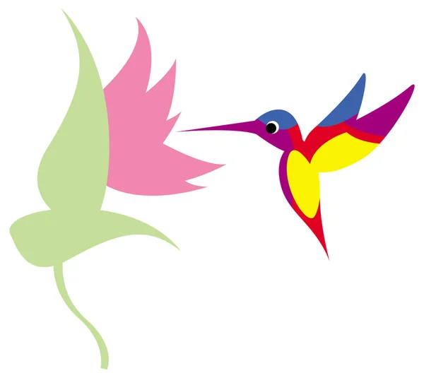 Illustration Flying Colorful Hummingbird Colibri Vector Illustration Isolated Image White — Stock Vector