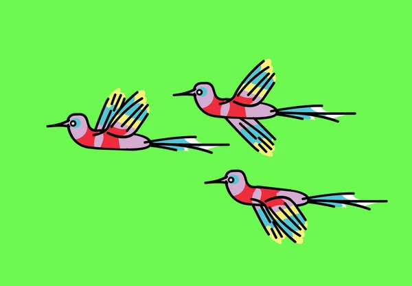 Bouquet Oiseaux Exotiques Sur Fond Vert — Image vectorielle