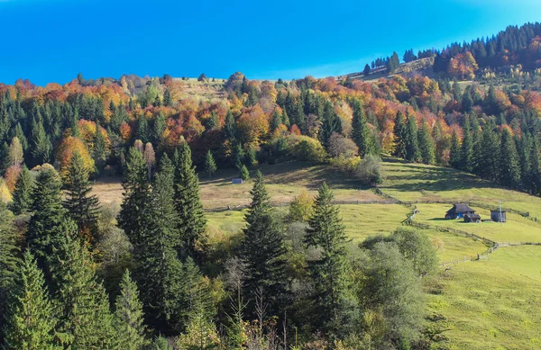 Autumn Village Landscape Carpathian — Stock Photo, Image
