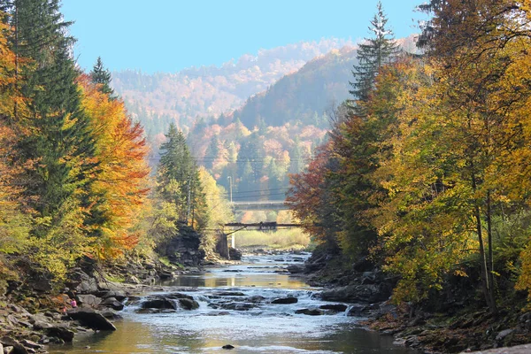 Гірська Річка Осінньому Лісі — стокове фото