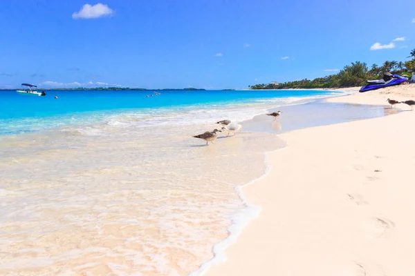 Acqua Turchese Del Mare Dei Caraibi — Foto Stock