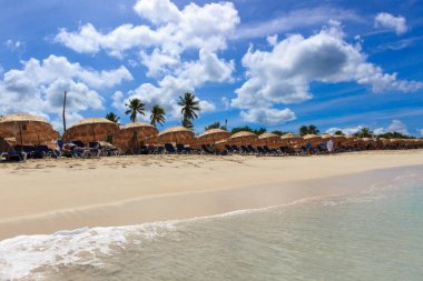 Kefal sahil St Maarten güneşli bir günde bay.