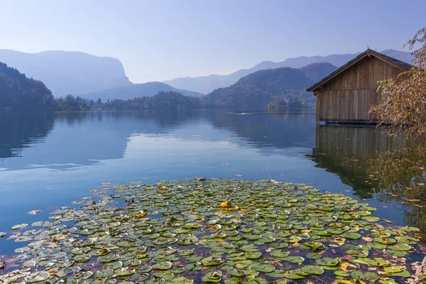 Lago Otoño Bled Eslovenia —  Fotos de Stock