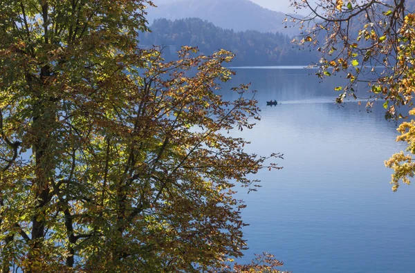 Outono Lago Bled Eslovénia — Fotografia de Stock