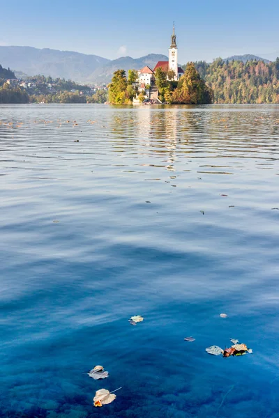 Вид Озеро Блед Осенними Листьями Паломнический Храм Успения Богородицы Заднем — стоковое фото
