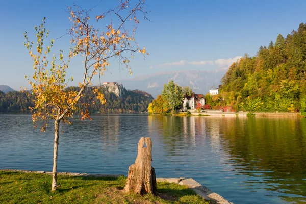 Bunter Herbst See Slowenien Ausgeblutete Burg Hintergrund — Stockfoto