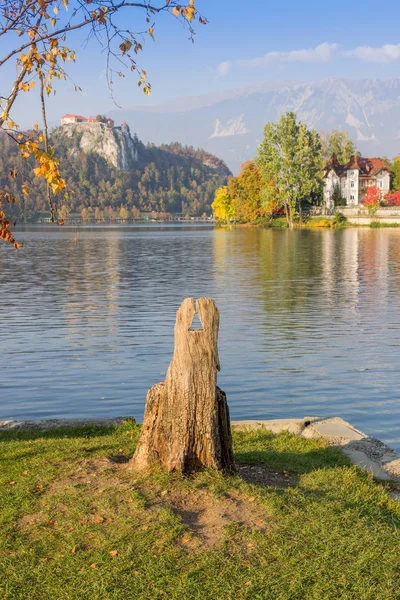 Colorful autumn at Lake Bled, SLovenia. Bled castle on background. Wood chair
