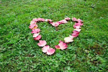  Kalp şekli sonbahardan çimenlerin üzerinde çizgili bırakır