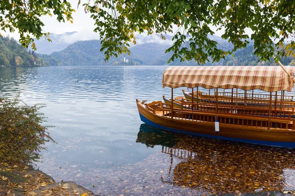 Бледное Озеро Осенью Традиционные Деревянные Лодки Плетна Бледная Церковь Заднем — стоковое фото