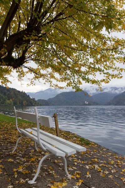 Paisagem Outono Banco Branco Pelo Lago Bled — Fotografia de Stock