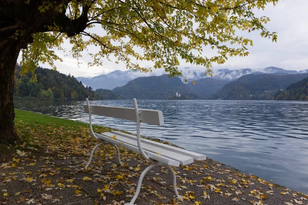 Paisagem Outono Banco Branco Pelo Lago Bled — Fotografia de Stock