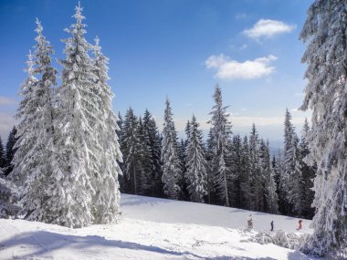                                Kış Kayak resort, karlı Ladin güneşli gün