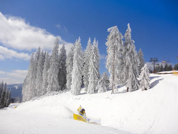 Winter Ski Resort Besneeuwde Spar Zonnige Dag — Stockfoto