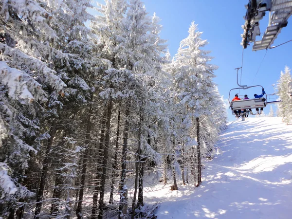 Winter Ski Resort Besneeuwde Spar — Stockfoto
