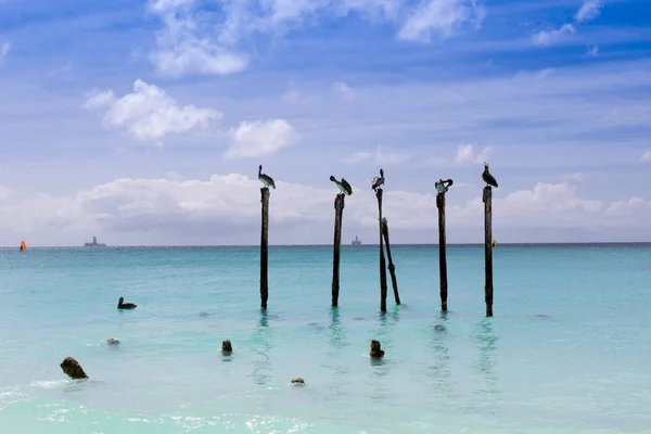 Playa Águila Aruba —  Fotos de Stock