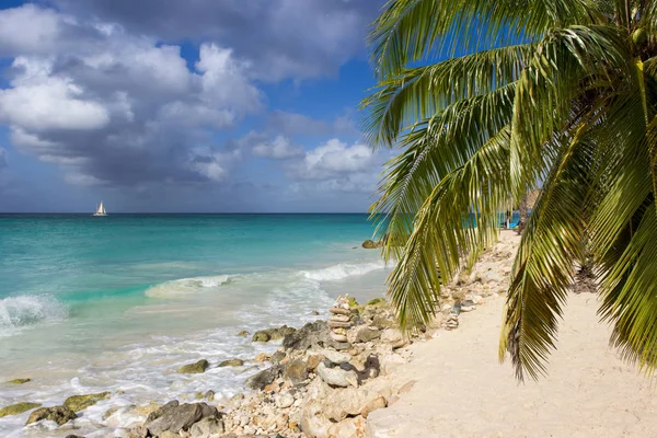 Agua Turquesa Del Mar Caribeño Costa Aruba — Foto de Stock