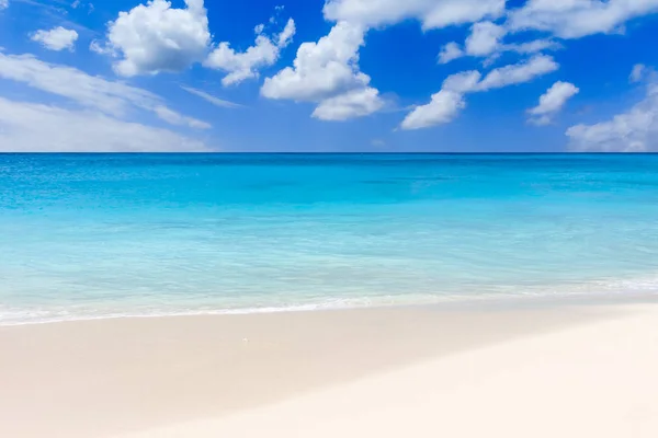 Palmeira Água Azul Turquesa Mar Caribe — Fotografia de Stock