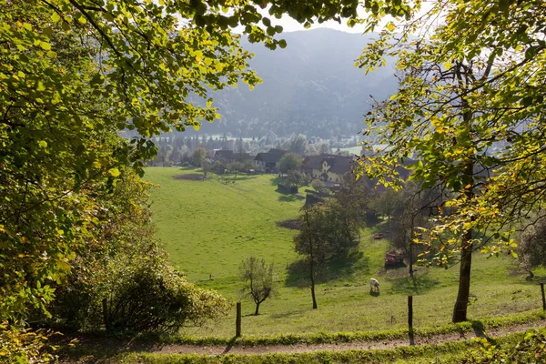 Vista Dall Alto Campo Allevamento Bovino Slovenia Europa — Foto Stock