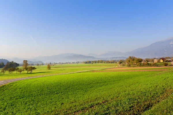 Countryside Landscape Slovenia Bled Neighborhood — Stock Photo, Image