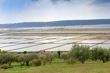 Seovlje Slovenya'da Piran yakınındaki tuz madenleri