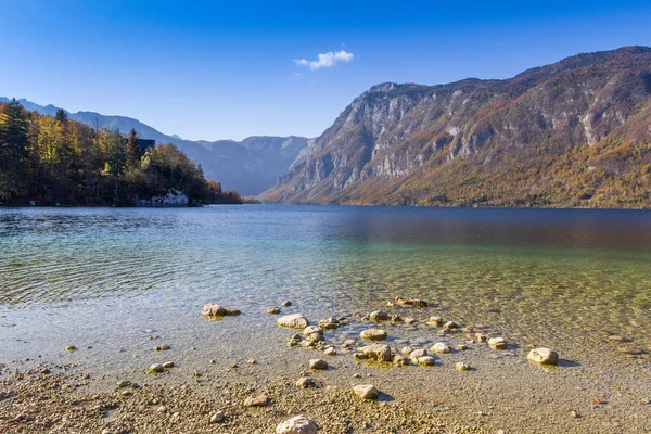 Lac Bohinj Slovénie — Photo