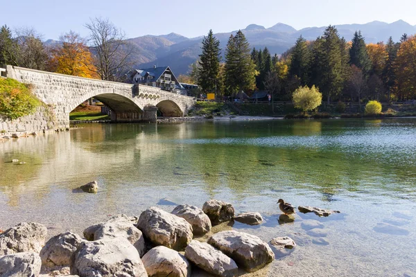 Lac Bohinj Slovénie — Photo