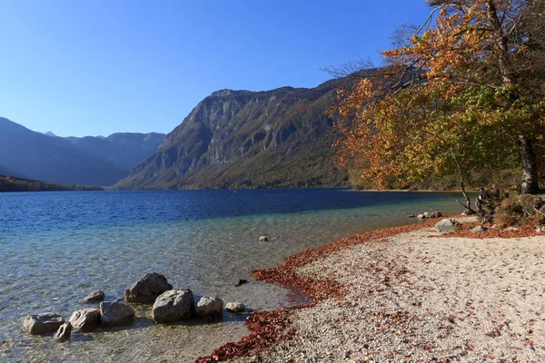 Lago Bohinj Eslovénia — Fotografia de Stock