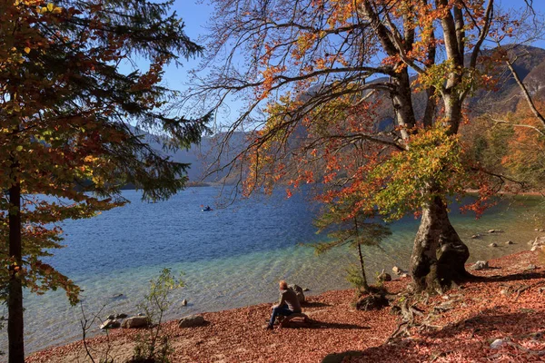 Lago Bohinj Eslovenia — Foto de Stock