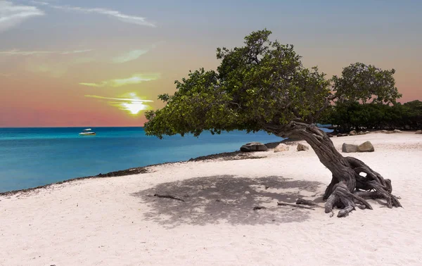 Закатный Пляж Арубе — стоковое фото