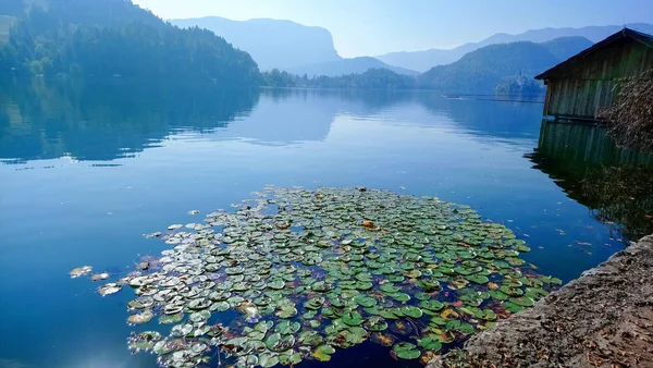 Lake Bled, Slovenia — Stock Photo, Image