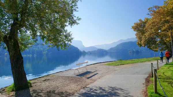 Parc et banc blanc au bord du lac de Bled, Slovénie — Photo